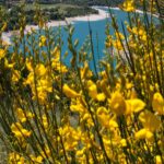 Un viaggio nel “Sottosopra” a Fiastrapalooza