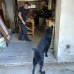 Spaccio e aggressione ai Carabinieri: due arresti