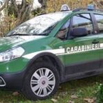Officina irregolare, sequestrati rifiuti