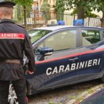 INVESTE E UCCIDE UN CAGNOLINO, POI FUGGE. DENUNCIATO DAI CARABINIERI UN 29ENNE