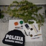 Droga in casa, arrestato dalla Squadra Mobile